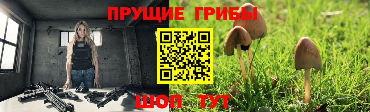 Псилоцибиновые грибы MAGIC MUSHROOMS  продажа наркотиков  Псилоцибиновые грибы Psilocybe  Зерноград  Вход с VPN 