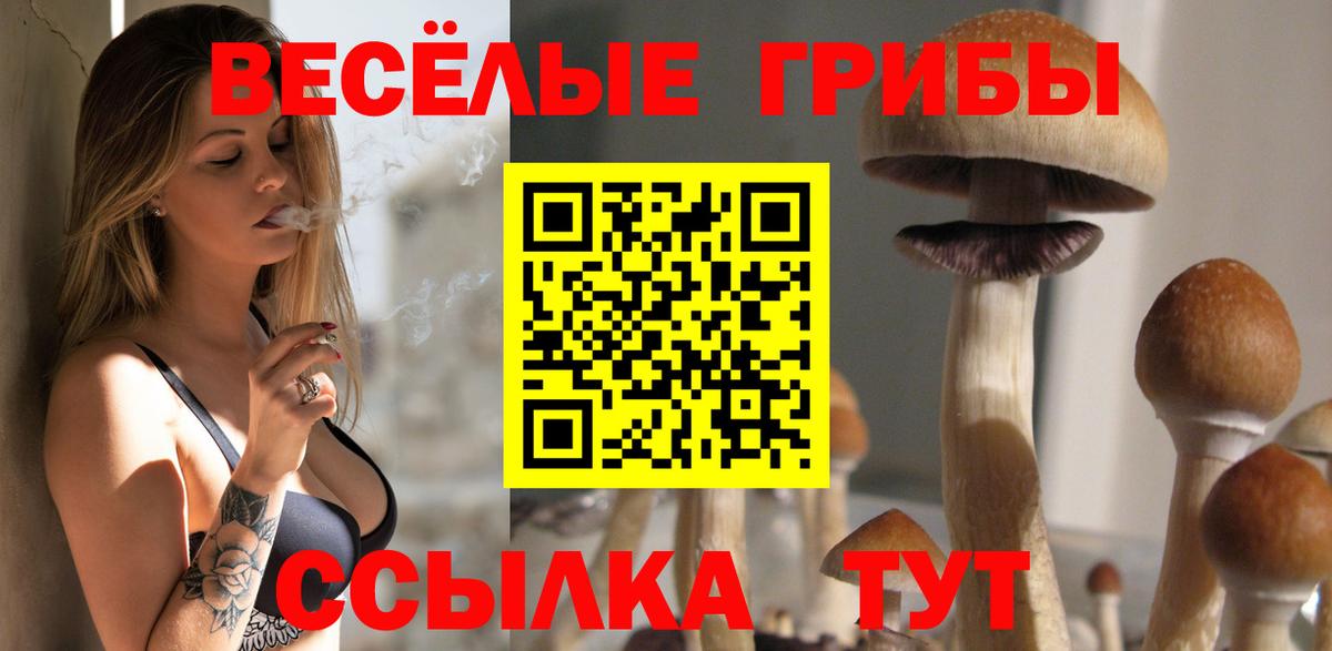 Галлюциногенные грибы мицелий Зерноград