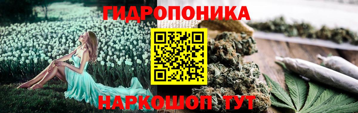 МАРИХУАНА семена  МАРИХУАНА OG Kush  Вход с VPN  Шишки марихуана OG Kush  Канабис марихуана  Зерноград 